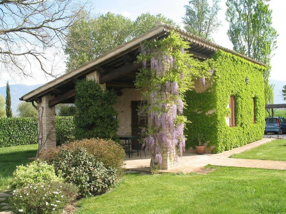 Agriturismo Le Due Torri Torre Quadrano 斯佩洛 外观 照片